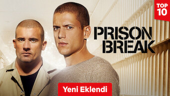 Prison Break (2017)